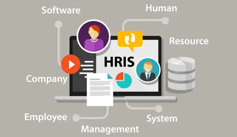 Do you know there are different types of HR systems?